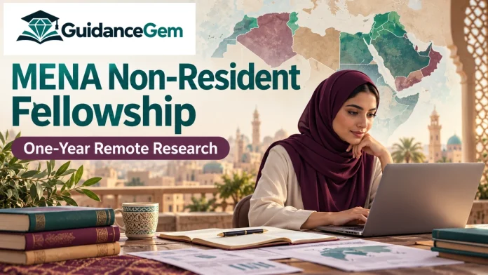 MENA Non-Resident Fellowship