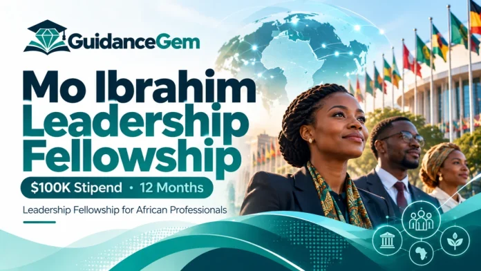 Mo Ibrahim Leadership Fellowship